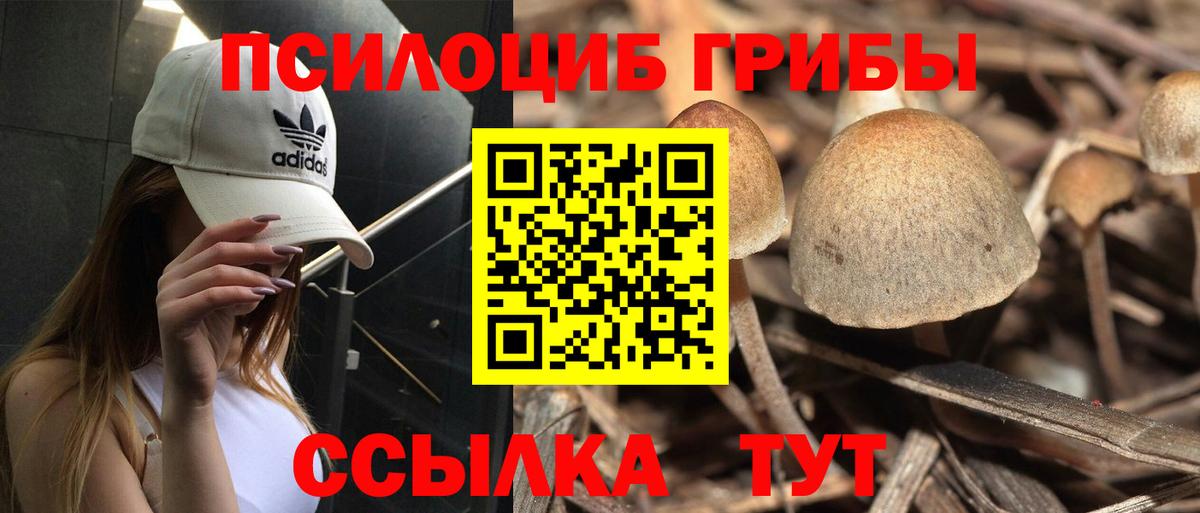 Галлюциногенные грибы ЛСД Лянтор